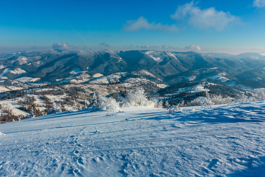 清晨冬季平静的山地景观坡上有美丽的霜冻树木和雪地滑乌克兰喀尔巴阡山图片