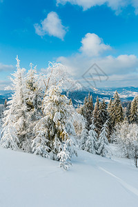 冬季平静的山区风景坡上有美丽的霜冻树木和滑雪喀尔巴阡山乌克兰远处的特罗斯山图片