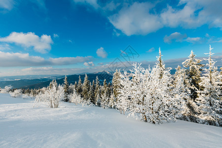 冬季平静的山地景观坡上有美丽的霜冻树木和滑雪乌克兰喀尔巴阡山图片