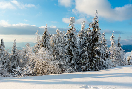 夜晚寒冬平静的山地景观坡上有美丽的霜冻树木和滑雪乌克兰喀尔巴阡山图片