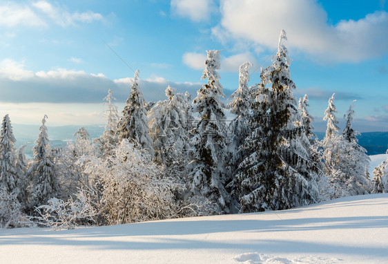 夜晚寒冬平静的山地景观坡上有美丽的霜冻树木和滑雪乌克兰喀尔巴阡山图片