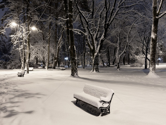 利维夫市中心乌克兰美丽的冬季公园图片