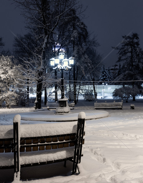 利沃夫市乌克兰中心有美丽的冬季夜间公园有雪覆盖的树木和长椅远处是圣乔治教堂图片
