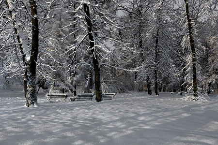 利沃夫市中心乌克兰的IvanFranko公园图片