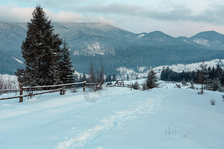 在乌克兰Verkhovyna地区Gerkhyna地区黑切雷莫什河谷的喀尔巴阡山村庄Zelene图片