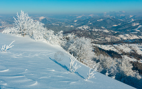 清晨冬季平静的山地景观坡上有美丽的霜冻树木和雪地滑乌克兰喀尔巴阡山图片