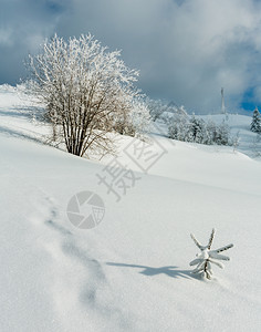 冬季平静的山地景观坡上有美丽的霜冻树木和滑雪乌克兰喀尔巴阡山图片