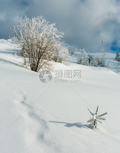 冬季平静的山地景观坡上有美丽的霜冻树木和滑雪乌克兰喀尔巴阡山图片