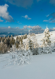 冬季平静的山地景观坡上有美丽的霜冻树木和滑雪乌克兰喀尔巴阡山图片