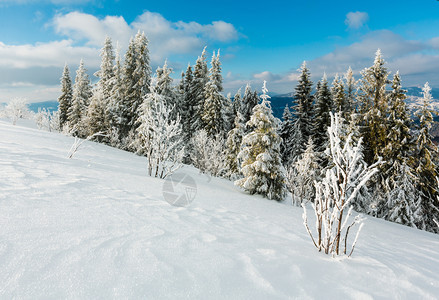 冬季平静的山地景观坡上有美丽的霜冻树木和滑雪乌克兰喀尔巴阡山图片