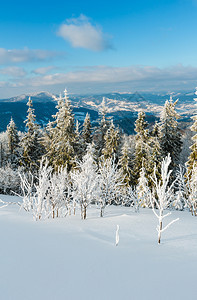 冬季平静的山地景观坡上有美丽的霜冻树木和滑雪乌克兰喀尔巴阡山图片