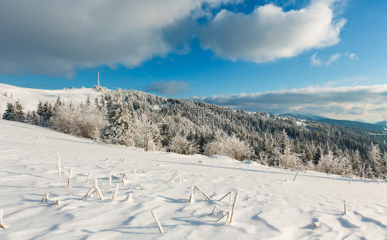 冬季平静的山地景观坡上有美丽的霜冻树木和滑雪乌克兰喀尔巴阡山图片