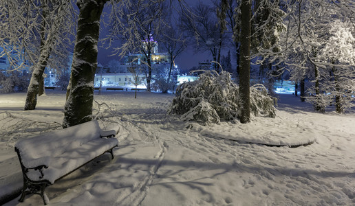 利沃夫市乌克兰中心有美丽的冬季夜间公园有雪覆盖的树木和长椅远处是圣乔治教堂图片