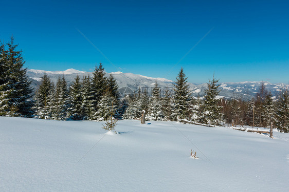 风景如画的冬季山景从乌克兰的斯库波瓦山坡可以看到乔诺霍拉山脊和皮普伊万山顶以及喀尔巴阡天文台大楼图片