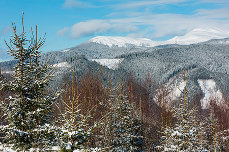 照片来自小森林和Skupova山高坡乌克兰最高霍夫纳区Chonohora山脊和PipIvan山峰喀尔巴阡图片