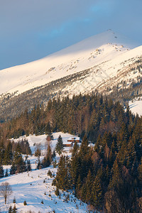 冬季的雪覆盖了风景图的阿尔普山脊乌克兰喀尔巴阡山克霍诺拉脉宁静的Dzembronya村郊区图片