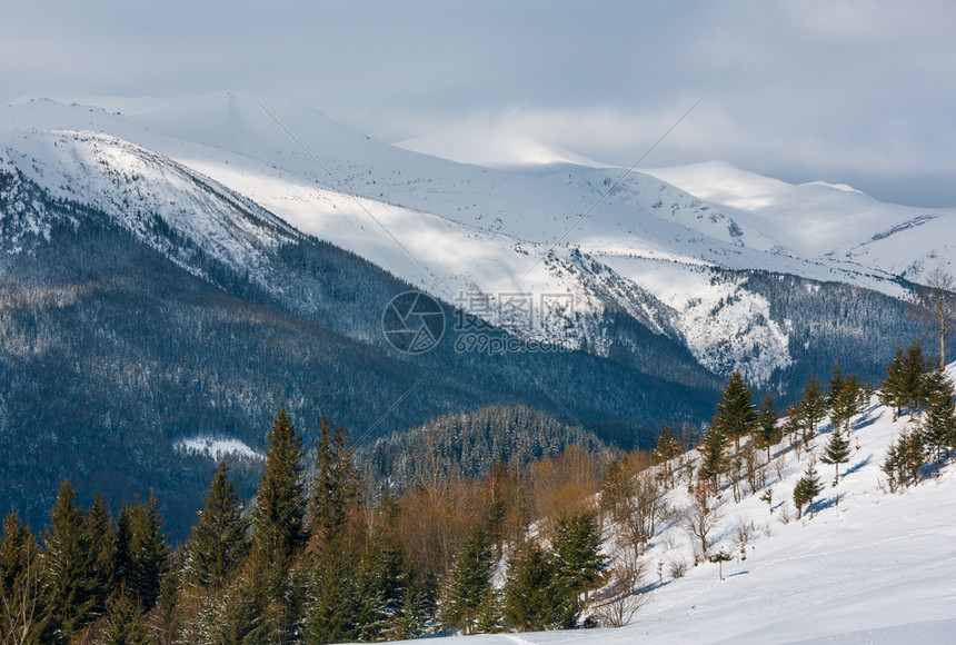 上午冬天的雪覆盖了风景和山脊乌克兰喀尔巴阡山克霍诺拉脉Dzembronya村郊区山丘的宁静景色图片