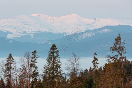 喀尔巴阡山高原地貌乌克兰远处有雪覆盖的山脊顶峰图片