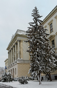 乌克兰利沃夫市中心美丽的冬季城市景色利沃夫国立理工大学主要建筑外墙和入口图片