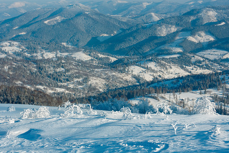 清晨冬季平静的山地景观坡上有美丽的霜冻树木和雪地滑乌克兰喀尔巴阡山图片