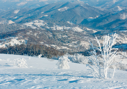 清晨冬季平静的山地景观坡上有美丽的霜冻树木和雪地滑乌克兰喀尔巴阡山图片