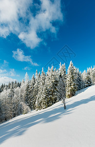 冬季平静的山地景观坡上有美丽的霜冻树木和滑雪乌克兰喀尔巴阡山图片