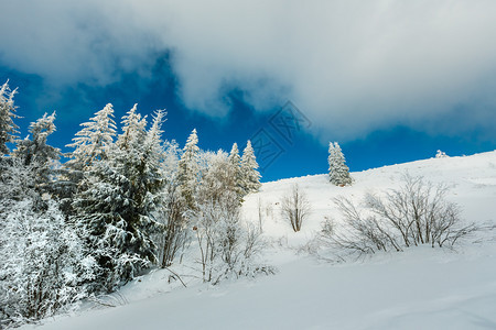 冬季平静的山地景观坡上有美丽的霜冻树木和滑雪乌克兰喀尔巴阡山图片