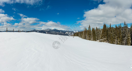 照片来自乌克兰雪地滑坡Skupova山坡的冬风景图片