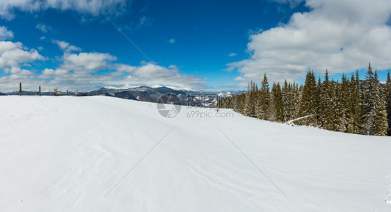 照片来自乌克兰雪地滑坡Skupova山坡的冬风景图片