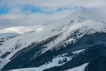 上午冬天的雪覆盖了风景和山脊乌克兰喀尔巴阡山克霍诺拉脉Dzembronya村郊区山丘的宁静景色图片