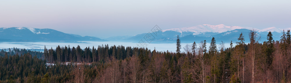 喀尔巴阡山高原地貌乌克兰远处有雪覆盖的山脊顶峰图片