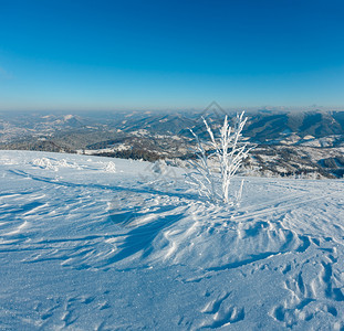 清晨冬季平静的山地景观坡上有美丽的霜冻树木和雪地滑乌克兰喀尔巴阡山图片