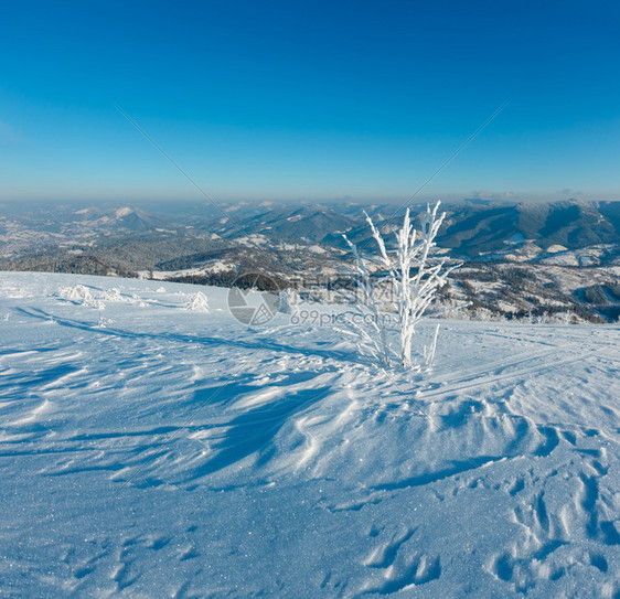 清晨冬季平静的山地景观坡上有美丽的霜冻树木和雪地滑乌克兰喀尔巴阡山图片