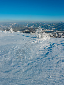 清晨冬季平静的山地景观坡上有美丽的霜冻树木和雪地滑乌克兰喀尔巴阡山图片