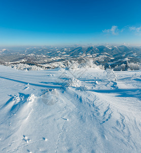 清晨冬季平静的山区风景坡乌克兰喀尔巴阡山上有美丽的霜冻树木和雪地漂流图片