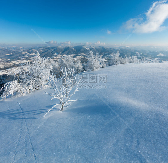 冬季乌克兰喀尔巴阡山景观图片