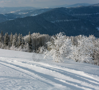 晨温的冬季山区风景有美丽的霜冻树木和滑雪场穿过斜坡喀尔巴阡山乌克兰图片