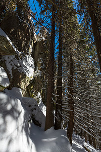 日落的寒雪覆盖了野生森林中的石块岩层在斯库波瓦山坡喀尔巴阡泽琳耶科夫纳乌克兰的斯库波娃山坡上拍摄的匈牙利石岩图片