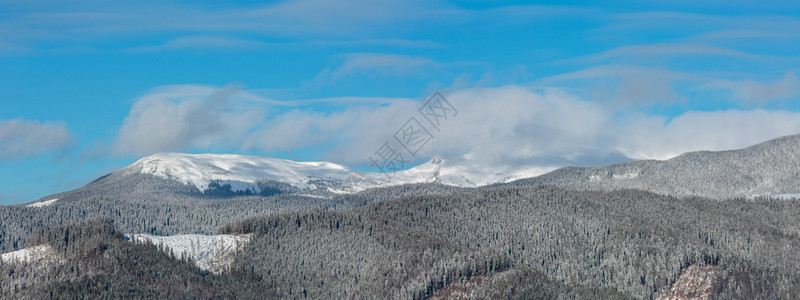 风景如画的冬季早晨山脉从斯库波娃山高山斜坡全景乌克兰Verkhovyna区可看到科尔巴阡的Chornohora山脊和PipIva图片