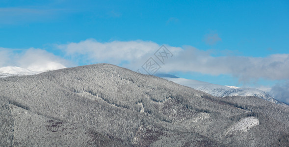 风景如画的冬季早晨山脉从斯库波娃山高山斜坡全景乌克兰Verkhovyna区可看到科尔巴阡的Chornohora山脊和PipIva图片