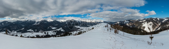 白雪覆盖的乌克兰喀尔巴阡山景象图片