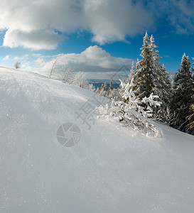冬季平静的山区风景坡乌克兰喀尔巴阡山上有美丽的霜冻树木和雪流图片
