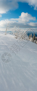 冬季平静的山区风景坡乌克兰喀尔巴阡山上有美丽的霜冻树木和雪流图片