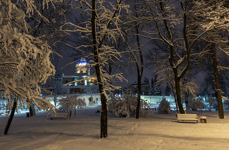 利沃夫市乌克兰中心有美丽的冬季夜间公园有雪覆盖的树木和长椅远处是圣乔治教堂图片