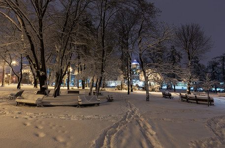 利沃夫市乌克兰中心有美丽的冬季夜间公园有雪覆盖的树木和长椅远处是圣乔治教堂图片