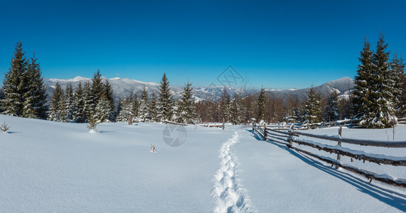 照片来自高山路的冬晨景有足迹斯库波瓦山坡乌克兰科霍诺拉山脊和皮普伊万山峰喀尔巴阡图片