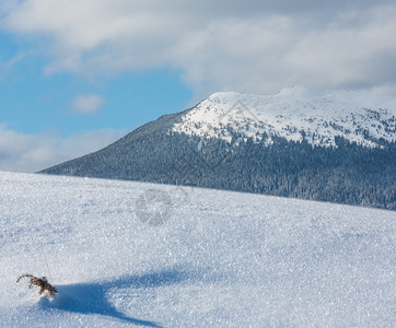 雪地表面有晶状花和后山冬季概念的自然宏观背景图片