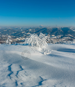 清晨冬季平静的山地景观坡上有美丽的霜冻树木和雪地滑乌克兰喀尔巴阡山图片