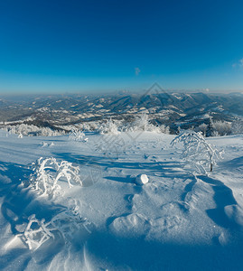 清晨冬季平静的山地景观坡上有美丽的霜冻树木和雪地滑乌克兰喀尔巴阡山图片