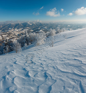 清晨冬季平静的山地景观坡上有美丽的霜冻树木和雪地滑乌克兰喀尔巴阡山图片